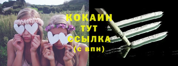 apvp Аркадак