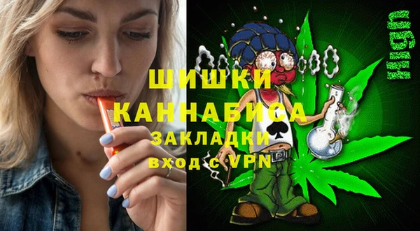 сатива Армянск