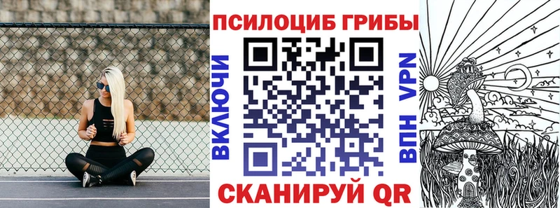 Галлюциногенные грибы Psilocybe  Карабаново 